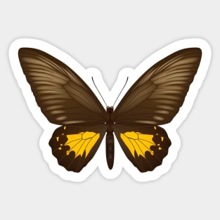 beautiful butterfly Sticker